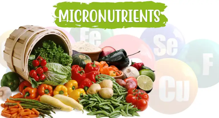 MICRONUTRIENTS